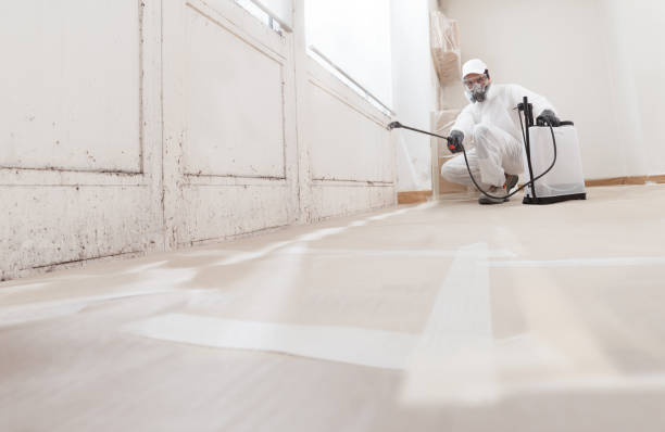 24/7 Emergency Bathroom Mold Removal experts in Jacksonville Beach, FL